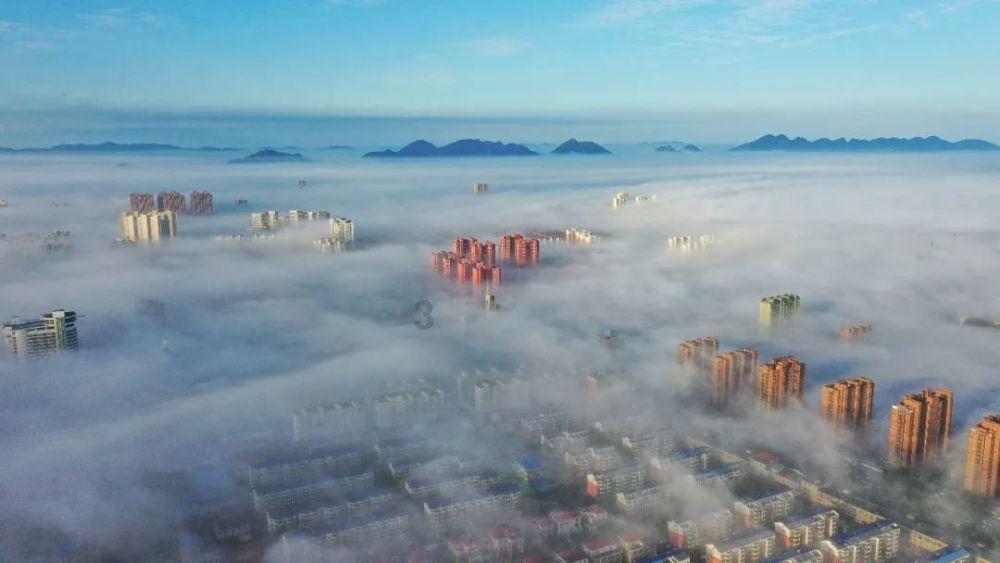 竞技宝登录